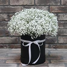 Цветочная композиция из Гипсофила в шляпной коробке в Гагарине