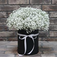 Цветочная композиция из Гипсофила в шляпной коробке в Гагарине