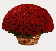 Премиум букет из: Розы в Гагарине